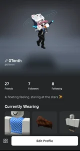 Roblox Mobile Profile